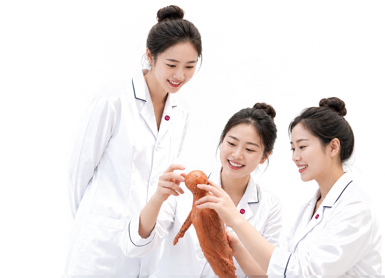 推拿师在导师带领下辨识经络模型